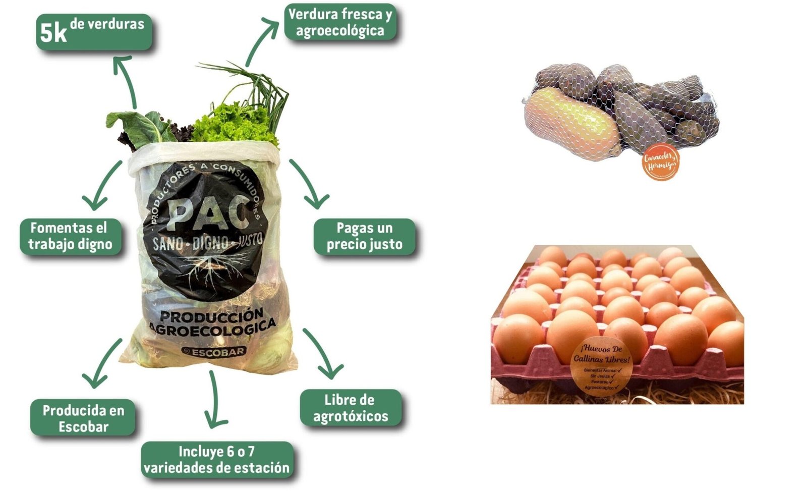bols-n-4-5-kg-agroecol-gico-bols-n-de-pesada-3-kg-maple-de-huevos