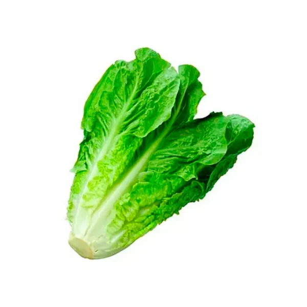 Lechuga Criolla por unidad (250g aprox)