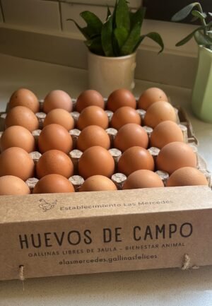 huevoslasmercedes