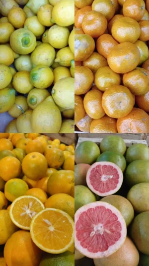 Bolsón de cítricos 3,5kg agroecológicos