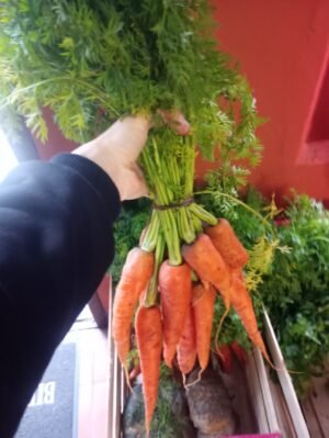 Zanahoria agroecológica por atado con hojas