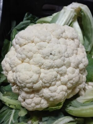 coliflor